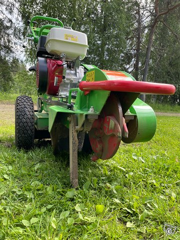 Laadukas Eurooppalainen kantojyrsin, kuva 1