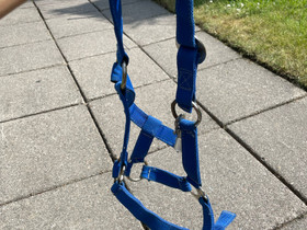 Pony-kokoinen riimu, Satulat ja varusteet, Hevoset ja hevosurheilu, Vaasa, Tori.fi Pony-kokoinen riimu, Satulat ja varusteet, Hevoset ja hevosurheilu, Vaasa, Tori.fi