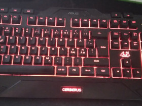 Asus cerberus pelinäppäimistö, Oheislaitteet, Tietokoneet ja lisälaitteet, Kuopio, Tori.fi Asus cerberus pelinäppäimistö, Oheislaitteet, Tietokoneet ja lisälaitteet, Kuopio, Tori.fi