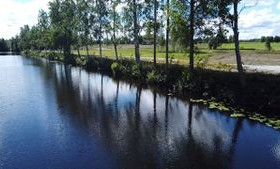 3.28 ha, Länsirannantie, Kuortane, Tontit, Kuortane, Tori.fi 3.28 ha, Länsirannantie, Kuortane, Tontit, Kuortane, Tori.fi