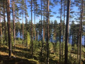 803m², Latusillantie 13, Padasjoki, Tontit, Padasjoki, Tori.fi 803m², Latusillantie 13, Padasjoki, Tontit, Padasjoki, Tori.fi