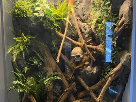 Terraario 100x50x120, Muut eläintarvikkeet, Lemmikkieläimet, Kuopio, Tori.fi Terraario 100x50x120, Muut eläintarvikkeet, Lemmikkieläimet, Kuopio, Tori.fi