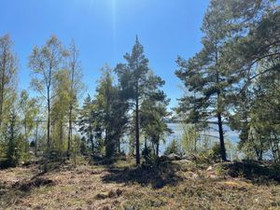 Märrgrundsvägen, Bergö, Finström, Metsätilat ja maatilat, Finström, Tori.fi Märrgrundsvägen, Bergö, Finström, Metsätilat ja maatilat, Finström, Tori.fi