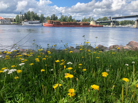 Omakotitalo, Myytävät asunnot, Asunnot, Joensuu, Tori.fi Omakotitalo, Myytävät asunnot, Asunnot, Joensuu, Tori.fi