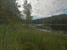 Haaveiletko rantatontista 8000 m2 rv 75, 4000 e, Tontit, Hattula, Tori.fi Haaveiletko rantatontista 8000 m2 rv 75, 4000 e, Tontit, Hattula, Tori.fi