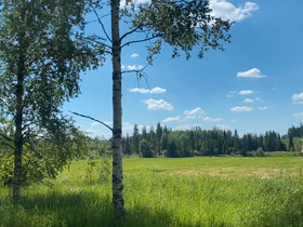 Tontti saarijärvellä, Tontit, Saarijärvi, Tori.fi
