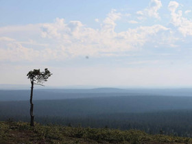 Vuokralle viikkot 34, 38, 42, 46 ja 50, Mökit ja loma-asunnot, Inari, Tori.fi Vuokralle viikkot 34, 38, 42, 46 ja 50, Mökit ja loma-asunnot, Inari, Tori.fi