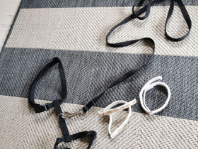 Valjaat ja 2 kaulapantaa, Kissojen tarvikkeet, Lemmikkieläimet, Kuopio, Tori.fi Valjaat ja 2 kaulapantaa, Kissojen tarvikkeet, Lemmikkieläimet, Kuopio, Tori.fi