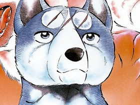 Hopeanuoli/Ginga fanituotteet, Muu keräily, Keräily, Ii, Tori.fi Hopeanuoli/Ginga fanituotteet, Muu keräily, Keräily, Ii, Tori.fi