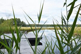 2.55 ha, Suosillantie 53, Tammela, Tontit, Tammela, Tori.fi 2.55 ha, Suosillantie 53, Tammela, Tontit, Tammela, Tori.fi