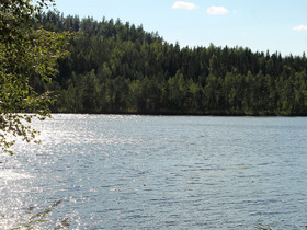 Toivakka Kankainen Tauluntie 596, Tontit, Toivakka, Tori.fi Toivakka Kankainen Tauluntie 596, Tontit, Toivakka, Tori.fi