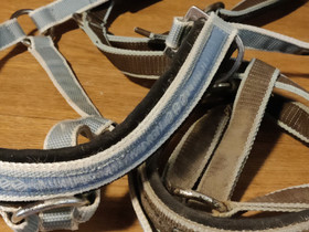 Eskadron, HC ym riimut xfull, Satulat ja varusteet, Hevoset ja hevosurheilu, Mikkeli, Tori.fi Eskadron, HC ym riimut xfull, Satulat ja varusteet, Hevoset ja hevosurheilu, Mikkeli, Tori.fi