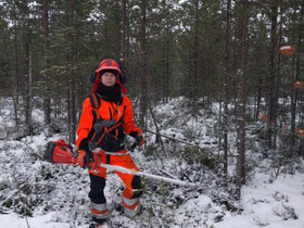 Työvoimaa, CV ja työhakemukset, Siikalatva, Tori.fi Työvoimaa, CV ja työhakemukset, Siikalatva, Tori.fi
