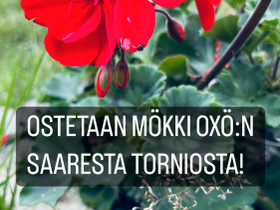 Mökki OXÖ:n saaresta Torniosta, Mökit ja loma-asunnot, Tornio, Tori.fi