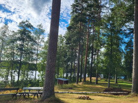 Lautaa, lankkua yms, Muu rakentaminen ja remontointi, Rakennustarvikkeet ja työkalut, Mikkeli, Tori.fi Lautaa, lankkua yms, Muu rakentaminen ja remontointi, Rakennustarvikkeet ja työkalut, Mikkeli, Tori.fi