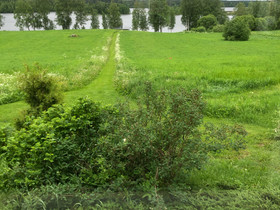 Traktori, Maatalouskoneet, Työkoneet ja kalusto, Rautjärvi, Tori.fi Traktori, Maatalouskoneet, Työkoneet ja kalusto, Rautjärvi, Tori.fi