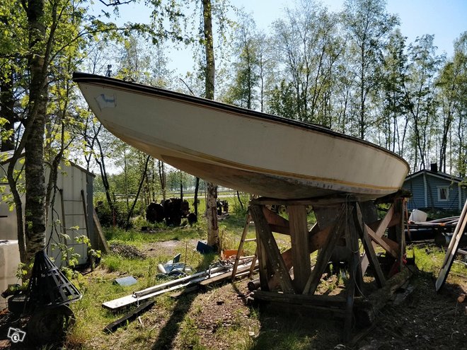 Star purjevene