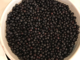 Mustikkaa, Hyvinvointi ja elintarvikkeet, Terveys ja hyvinvointi, Lapua, Tori.fi Mustikkaa, Hyvinvointi ja elintarvikkeet, Terveys ja hyvinvointi, Lapua, Tori.fi