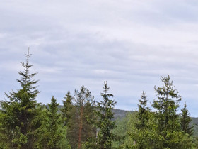 Rovaniemeltä tontti(Nivankylä), Tontit, Rovaniemi, Tori.fi Rovaniemeltä tontti(Nivankylä), Tontit, Rovaniemi, Tori.fi