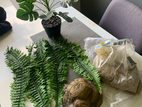 Terraariotarvikkeita, Muut eläintarvikkeet, Lemmikkieläimet, Tampere, Tori.fi Terraariotarvikkeita, Muut eläintarvikkeet, Lemmikkieläimet, Tampere, Tori.fi