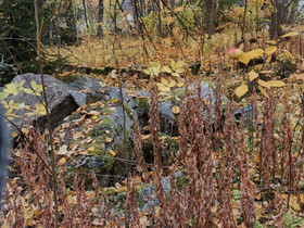 Tontti 5000m2 Leppälahdentie 211, Tontit, Jyväskylä, Tori.fi Tontti 5000m2 Leppälahdentie 211, Tontit, Jyväskylä, Tori.fi