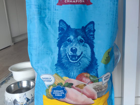 8,5kg koiranruokaa, Koirien tarvikkeet, Lemmikkieläimet, Turku, Tori.fi 8,5kg koiranruokaa, Koirien tarvikkeet, Lemmikkieläimet, Turku, Tori.fi