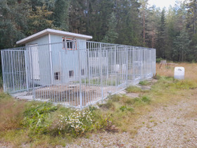 Koira häkit ja koiratalo, Koirien tarvikkeet, Lemmikkieläimet, Kurikka, Tori.fi Koira häkit ja koiratalo, Koirien tarvikkeet, Lemmikkieläimet, Kurikka, Tori.fi