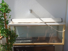 Akvaario Terraario, Kalat ja akvaariot, Lemmikkieläimet, Pori, Tori.fi Akvaario Terraario, Kalat ja akvaariot, Lemmikkieläimet, Pori, Tori.fi