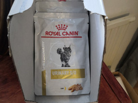 Royal Canin urinary, Varattu, Kissojen tarvikkeet, Lemmikkieläimet, Joensuu, Tori.fi Royal Canin urinary, Varattu, Kissojen tarvikkeet, Lemmikkieläimet, Joensuu, Tori.fi