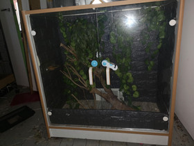 Terraario, Muut eläintarvikkeet, Lemmikkieläimet, Joroinen, Tori.fi Terraario, Muut eläintarvikkeet, Lemmikkieläimet, Joroinen, Tori.fi