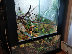 Liukuovi terraario, Muut eläintarvikkeet, Lemmikkieläimet, Vaasa, Tori.fi Liukuovi terraario, Muut eläintarvikkeet, Lemmikkieläimet, Vaasa, Tori.fi