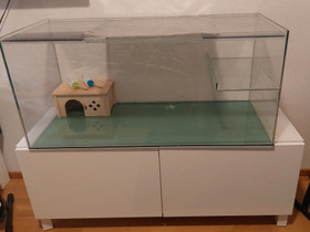 Terraario 45 x 45 x 100, Muut eläintarvikkeet, Lemmikkieläimet, Liperi, Tori.fi Terraario 45 x 45 x 100, Muut eläintarvikkeet, Lemmikkieläimet, Liperi, Tori.fi