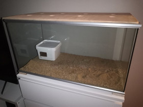 Terraario/akvaario kahdella kannella, Muut eläintarvikkeet, Lemmikkieläimet, Salo, Tori.fi Terraario/akvaario kahdella kannella, Muut eläintarvikkeet, Lemmikkieläimet, Salo, Tori.fi