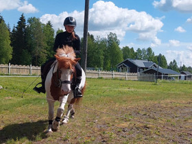 Etsin uutta vuokraponia / -hevosta, Hevoset ja ponit, Hevoset ja hevosurheilu, Lapua, Tori.fi