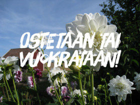 Etsinnässä puutarhapalsta tai vilejelysmaata, Metsätilat ja maatilat, Ylöjärvi, Tori.fi Etsinnässä puutarhapalsta tai vilejelysmaata, Metsätilat ja maatilat, Ylöjärvi, Tori.fi