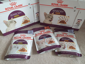 Royal Canin, kissan märkäruokaa, Kissojen tarvikkeet, Lemmikkieläimet, Vantaa, Tori.fi Royal Canin, kissan märkäruokaa, Kissojen tarvikkeet, Lemmikkieläimet, Vantaa, Tori.fi