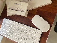 Apple Magic Mouse and keyboard