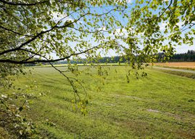 5436m², Kalliontie, Joensuu, Tontit, Joensuu, Tori.fi 5436m², Kalliontie, Joensuu, Tontit, Joensuu, Tori.fi