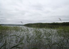 7700m², Orjainniementie, Taipalsaari, Tontit, Lappeenranta, Tori.fi 7700m², Orjainniementie, Taipalsaari, Tontit, Lappeenranta, Tori.fi