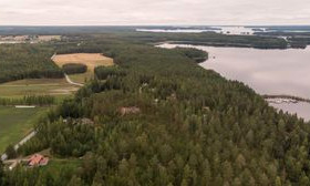 11.48 ha, Pekanrannantie 35 A, Taipalsaari, Tontit, Taipalsaari, Tori.fi 11.48 ha, Pekanrannantie 35 A, Taipalsaari, Tontit, Taipalsaari, Tori.fi