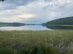 Pajuniementie 15 C, Luhanka, Luhanka, Metsätilat ja maatilat, Luhanka, Tori.fi Pajuniementie 15 C, Luhanka, Luhanka, Metsätilat ja maatilat, Luhanka, Tori.fi