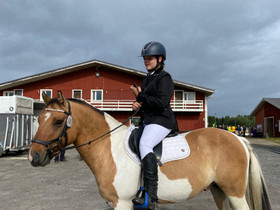 Risteytysponi / vaihto!, Hevoset ja ponit, Hevoset ja hevosurheilu, Mikkeli, Tori.fi Risteytysponi / vaihto!, Hevoset ja ponit, Hevoset ja hevosurheilu, Mikkeli, Tori.fi