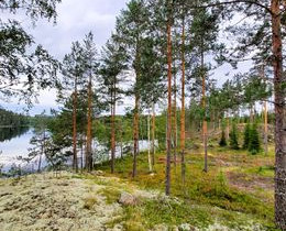 6000m², Vuorilahdentie, Puumala, Tontit, Puumala, Tori.fi 6000m², Vuorilahdentie, Puumala, Tontit, Puumala, Tori.fi