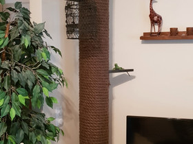 Kissalle raapimis-/kiipeilypuu n.252cm, Kissojen tarvikkeet, Lemmikkieläimet, Kangasala, Tori.fi Kissalle raapimis-/kiipeilypuu n.252cm, Kissojen tarvikkeet, Lemmikkieläimet, Kangasala, Tori.fi