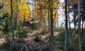 1H, Marjosaaret/Vaahersalo, Vaahersalon kylä, Savo, Mökit ja loma-asunnot, Savonlinna, Tori.fi