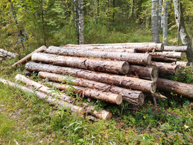 Polttopuut, Metsätilat ja maatilat, Oulu, Tori.fi