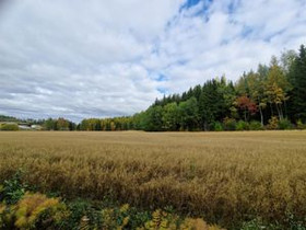 3 ha, Vuoteenkoskentie 99, Pornainen, Tontit, Pornainen, Tori.fi 3 ha, Vuoteenkoskentie 99, Pornainen, Tontit, Pornainen, Tori.fi