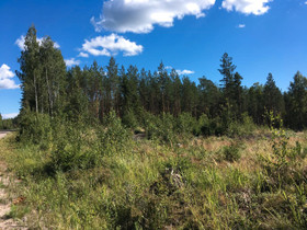 Etsitään tonttia osamaksulla., Tontit, Kouvola, Tori.fi Etsitään tonttia osamaksulla., Tontit, Kouvola, Tori.fi