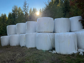 Esikuivattua pyöröpaalissa, Muut hevostarvikkeet, Hevoset ja hevosurheilu, Salo, Tori.fi Esikuivattua pyöröpaalissa, Muut hevostarvikkeet, Hevoset ja hevosurheilu, Salo, Tori.fi