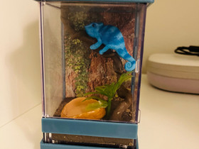 American girl reptiili mini setti., Lelut ja pelit, Lastentarvikkeet ja lelut, Helsinki, Tori.fi American girl reptiili mini setti., Lelut ja pelit, Lastentarvikkeet ja lelut, Helsinki, Tori.fi